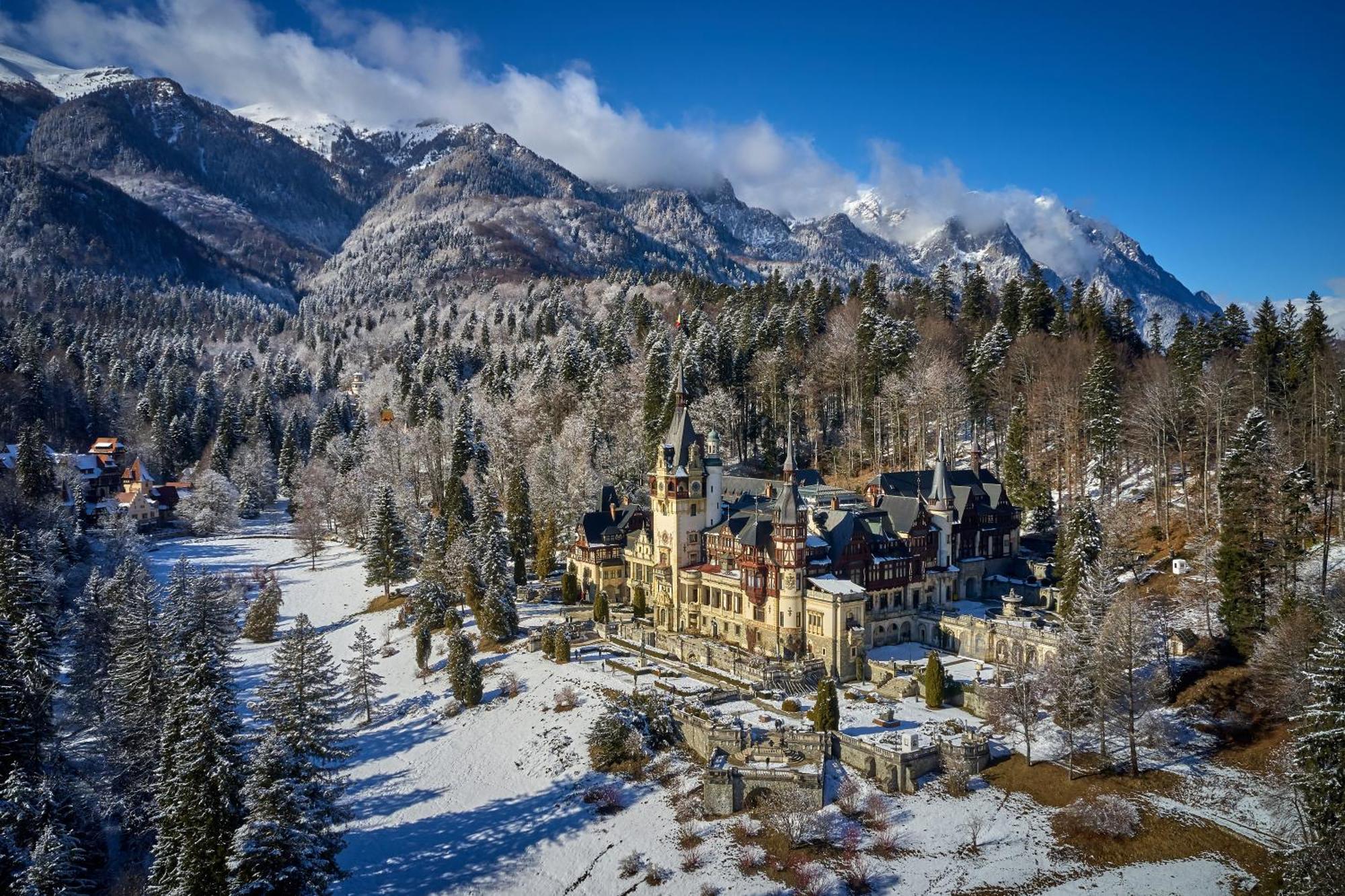 The Cozy Deer Apartment Sinaia Exterior foto